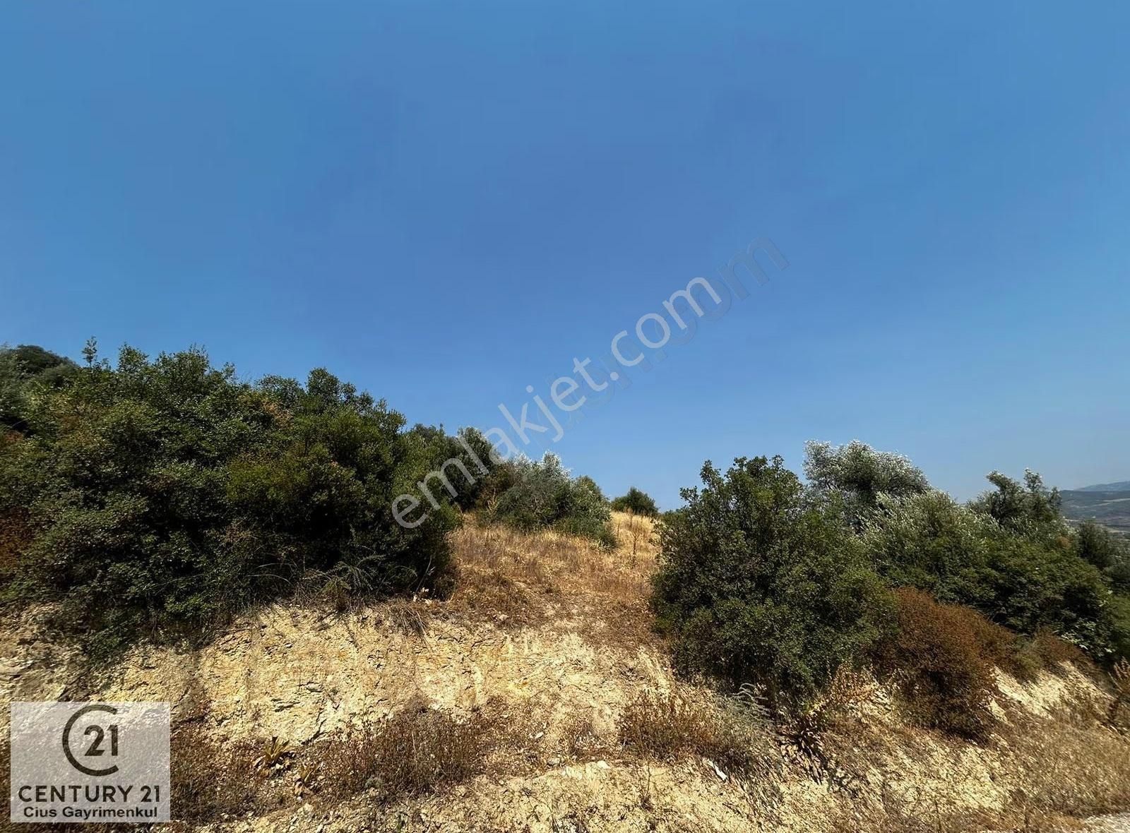 C21 Cius; İznik Ömerli'de 11.152 M2 Satılık Arazi