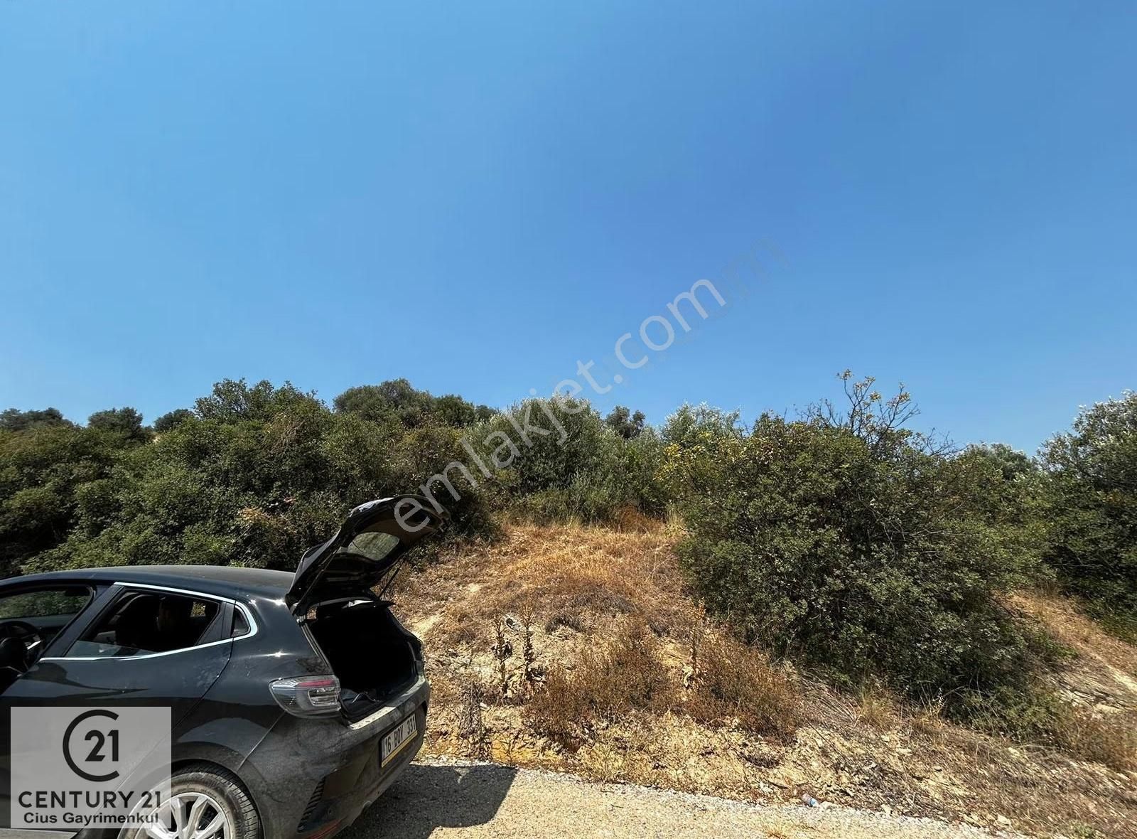 C21 Cius; İznik Ömerli'de Köşe Parsel 38.258 M2 Satılık Tarla