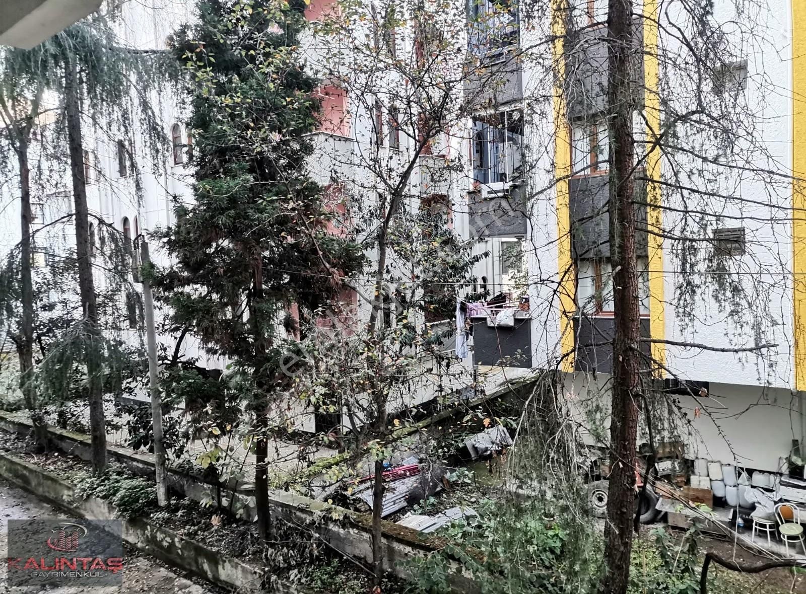 2nl.beşirli Mah Kiralık Dükkan 100 Metrekare - Görsel 17