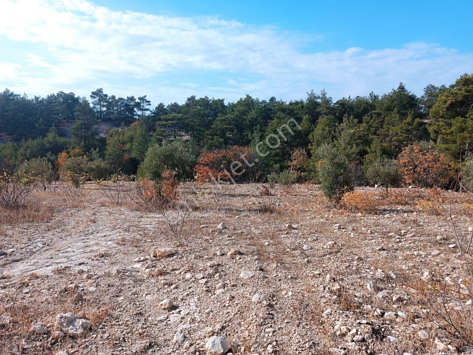 Silifke Kargıcakta Kelepir Tarla - Görsel 10