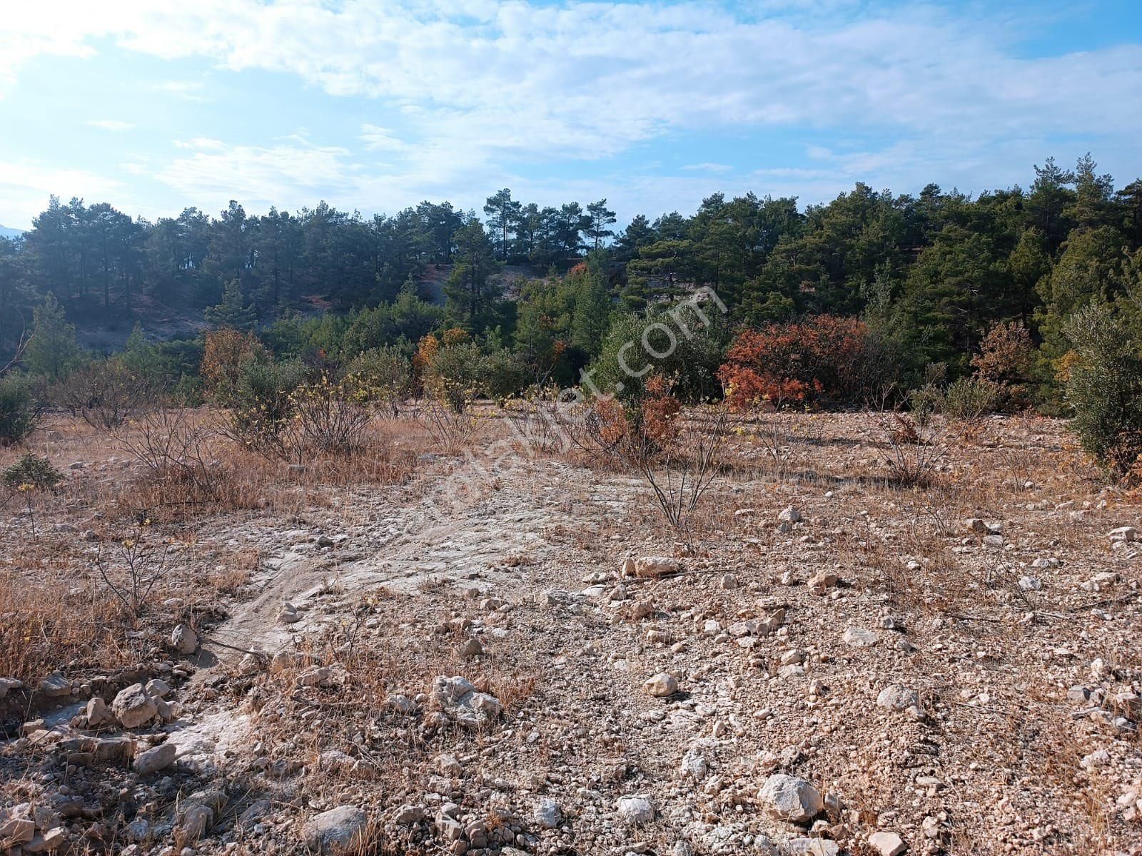 Silifke Kargıcakta Kelepir Tarla - Görsel 5