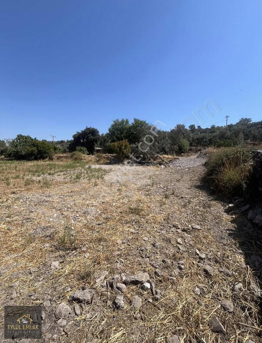 Milas Hasanlarda İmarlı Satılık Arsa - Görsel 9