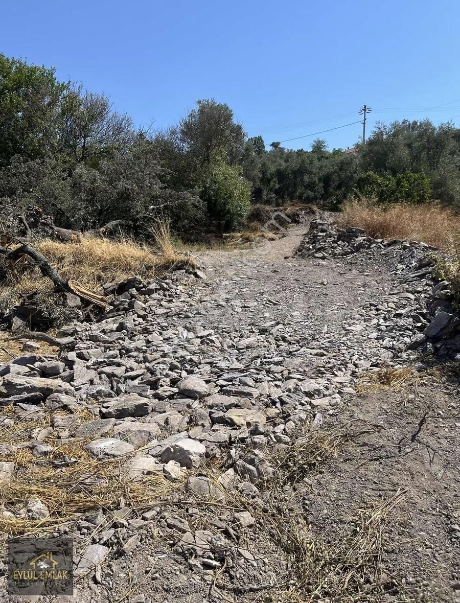 Milas Hasanlarda İmarlı Satılık Arsa - Görsel 12