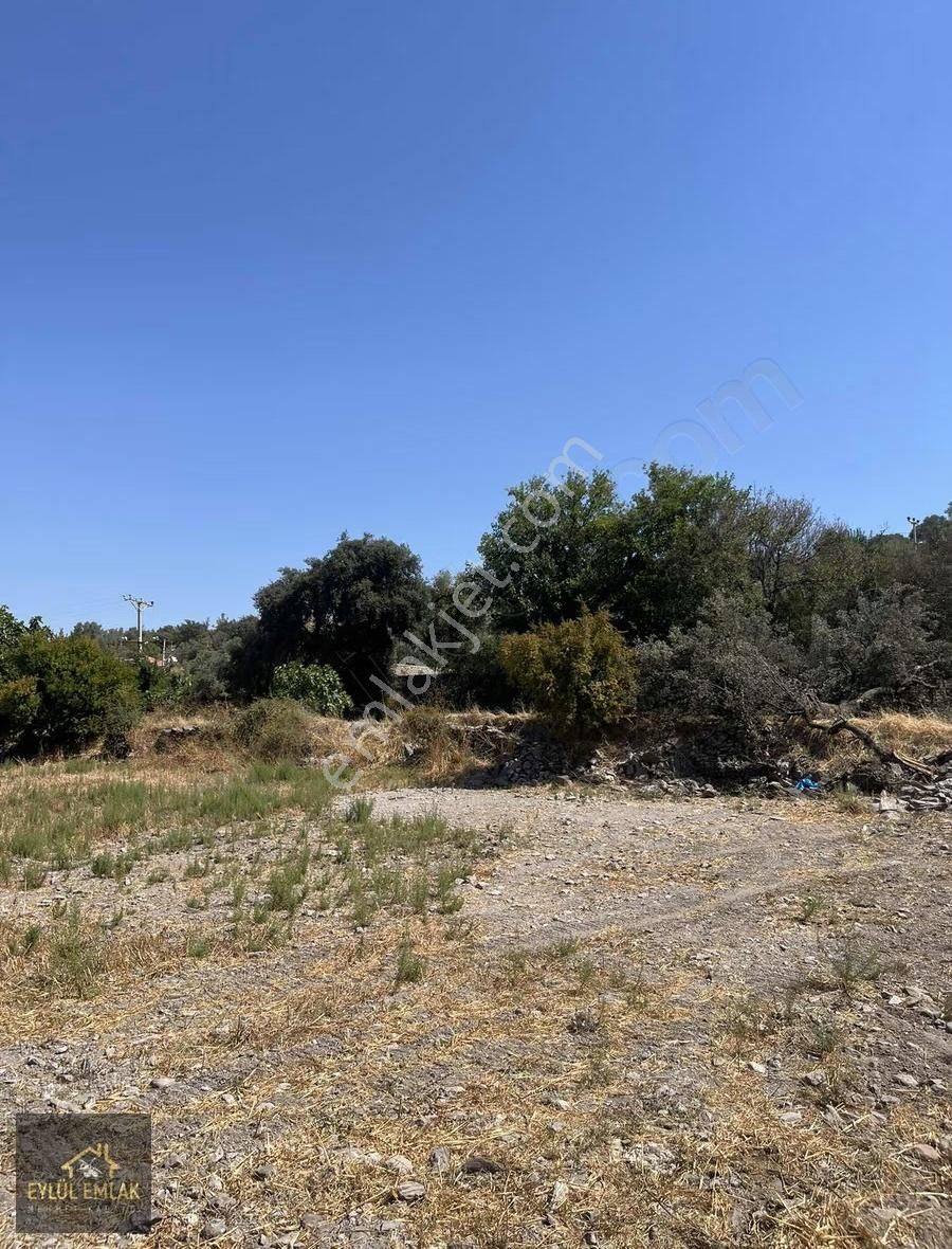 Milas Hasanlarda İmarlı Satılık Arsa - Görsel 8