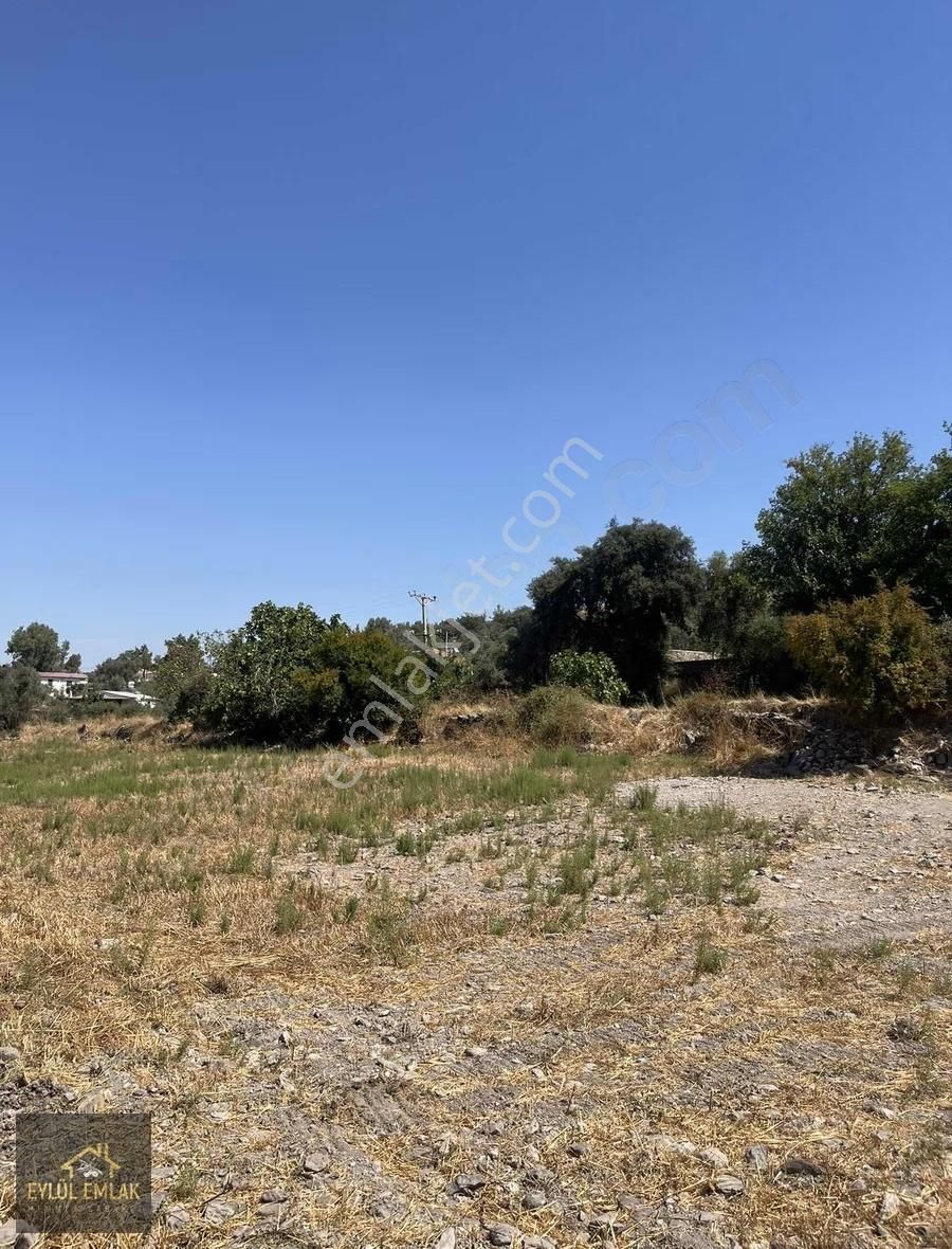 Milas Hasanlarda İmarlı Satılık Arsa - Görsel 16