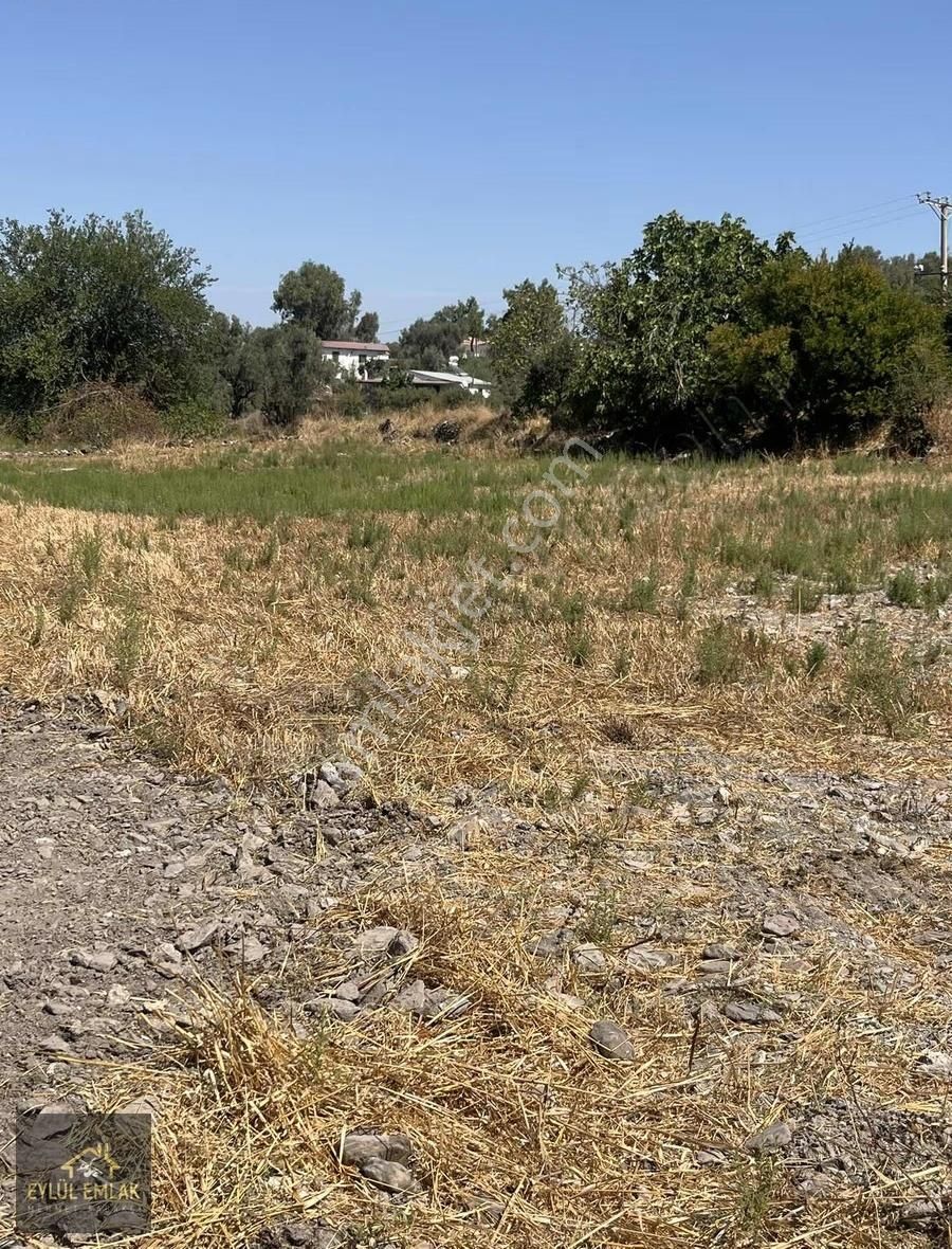 Milas Hasanlarda İmarlı Satılık Arsa - Görsel 6