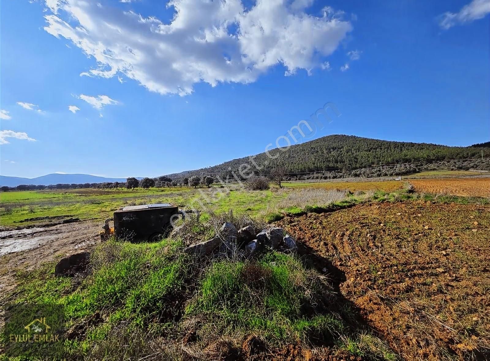 Bodrum Sazköyde Satılık Tarla - Görsel 5