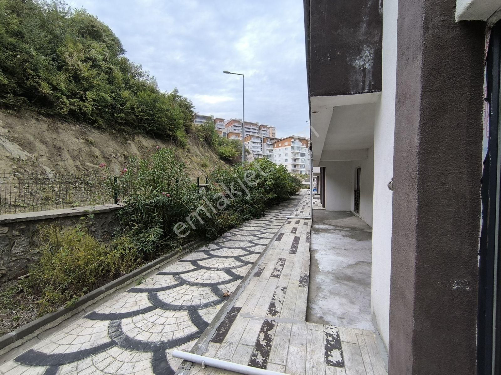 Merkez Amasra Fırsat Daire - Görsel 4