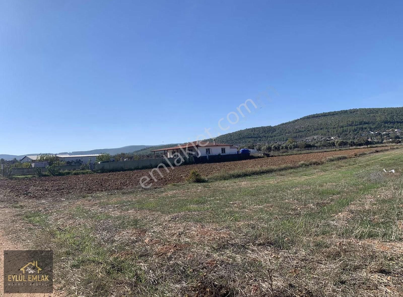 Sazköy De Yol Cepheli Satılık Tarla - Görsel 4