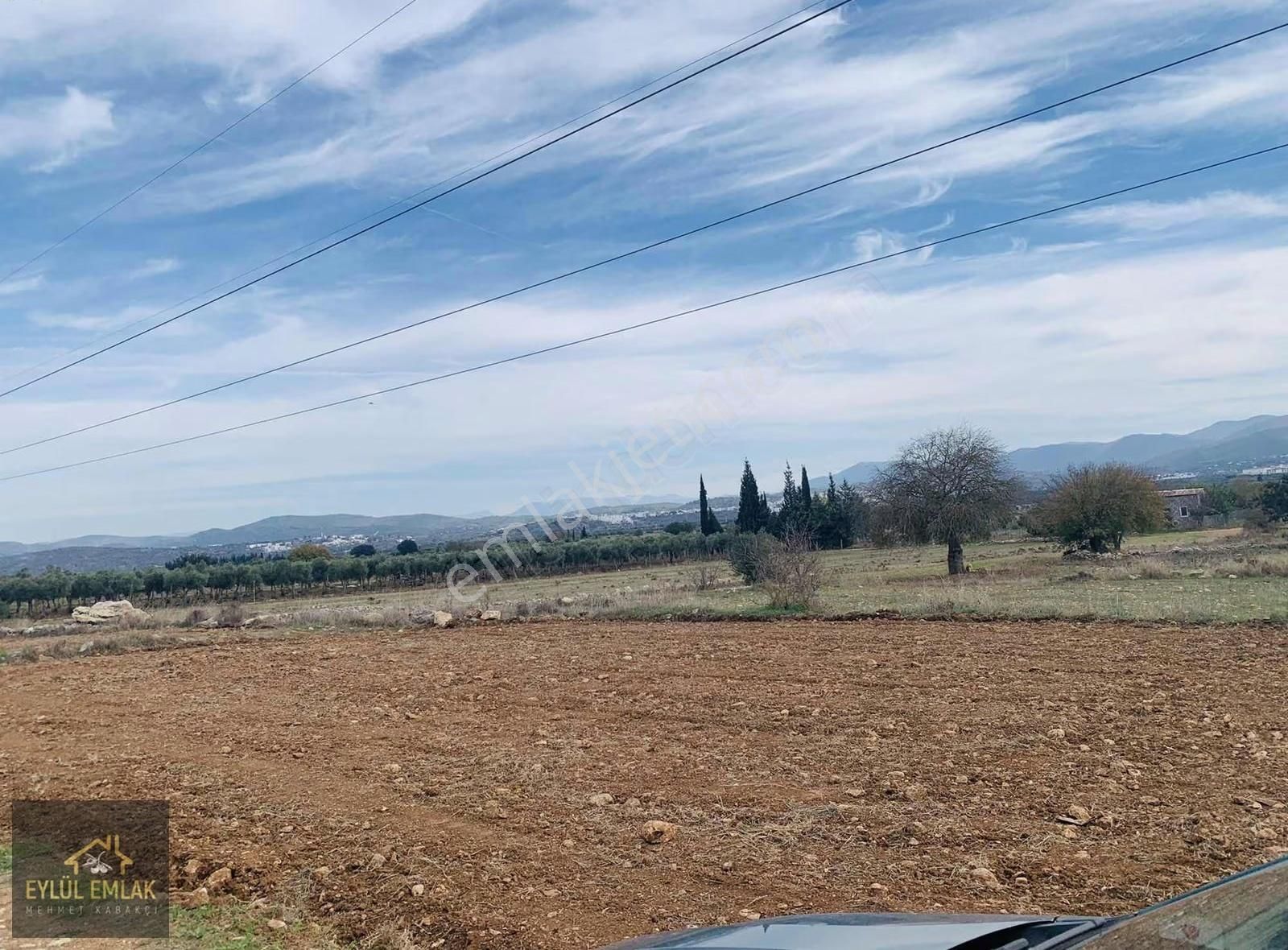 Sazköy De Yol Cepheli Satılık Tarla - Görsel 3