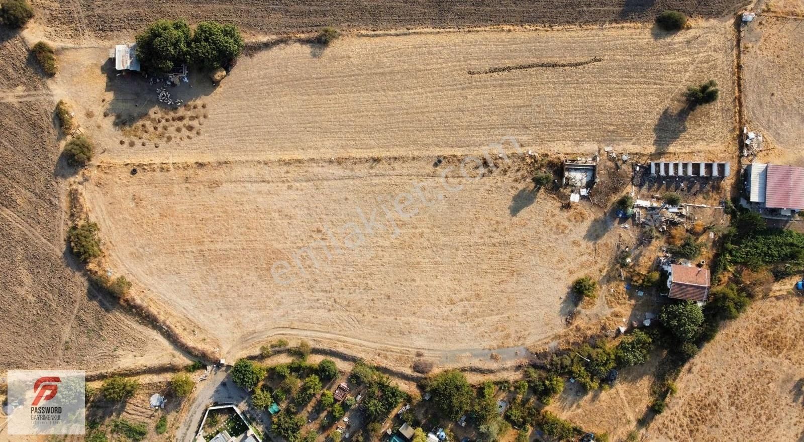 İzmir Foça Gencelli Sahiline 400 Metre Mesafede Kiralık Arsa - Görsel 3