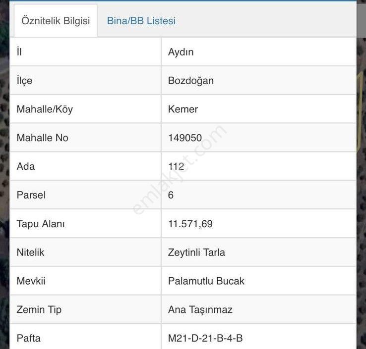 Bozdoğan Kemer Mahallesinde Satılık Zeytinli Tarla - Görsel 20