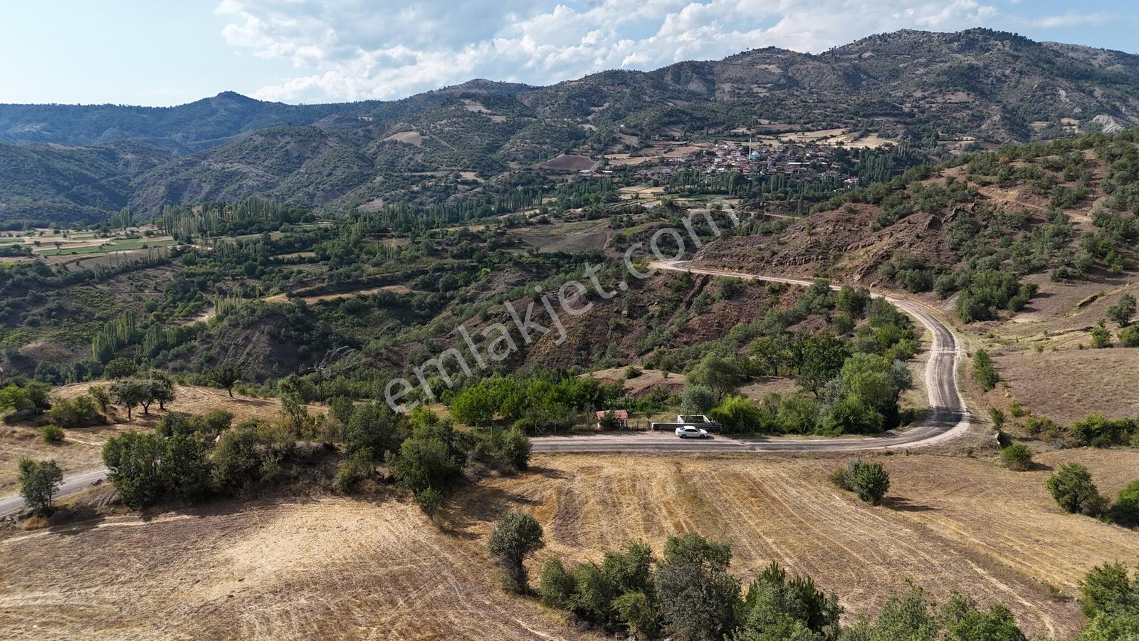 Amasya Hamamözünde Ana Yola Yakın 1574 M2 Tarla Tek Tapu - Görsel 11