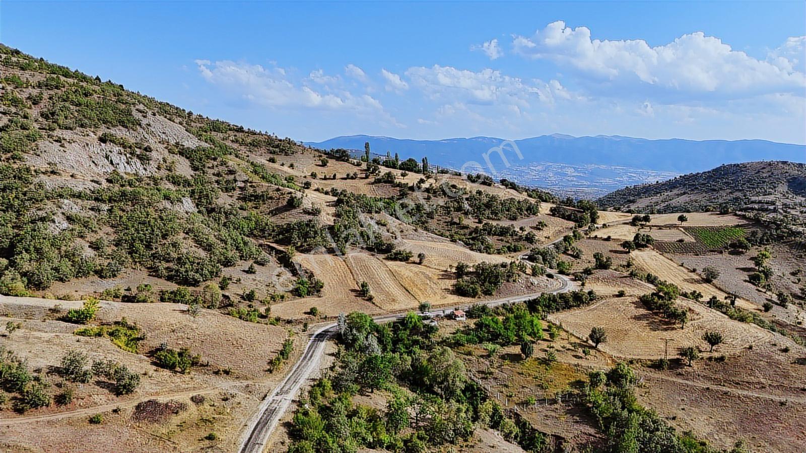 Amasya Hamamözünde Ana Yola Yakın 1574 M2 Tarla Tek Tapu - Görsel 7