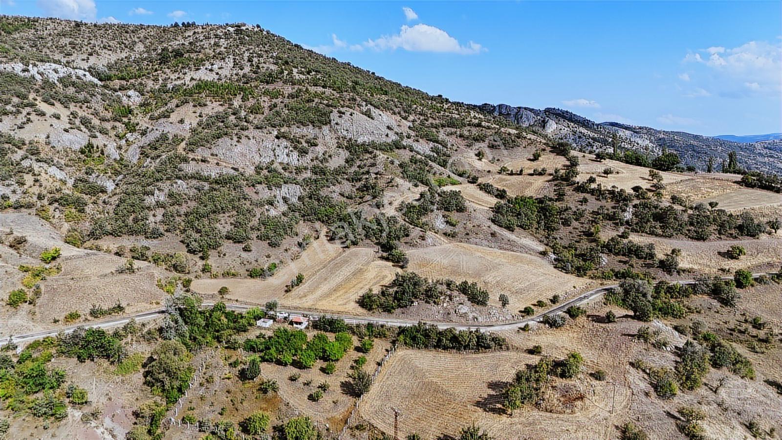Amasya Hamamözünde Ana Yola Yakın 1574 M2 Tarla Tek Tapu - Görsel 22