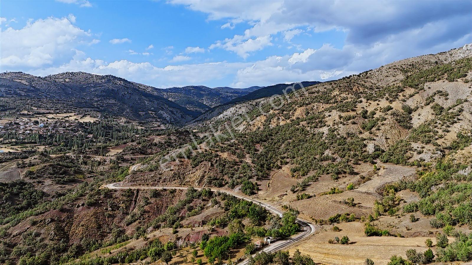 Amasya Hamamözünde Ana Yola Yakın 1574 M2 Tarla Tek Tapu - Görsel 25