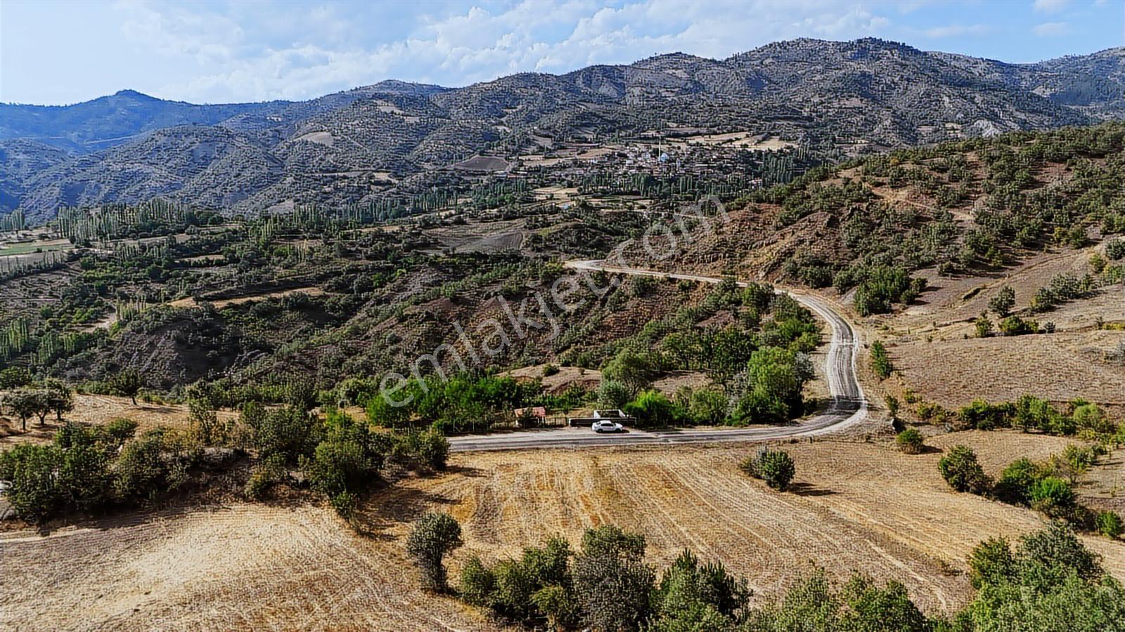Amasya Hamamözünde Ana Yola Yakın 1574 M2 Tarla Tek Tapu - Görsel 12