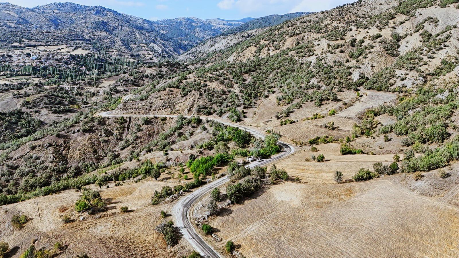 Amasya Hamamözünde Ana Yola Yakın 1574 M2 Tarla Tek Tapu - Görsel 6