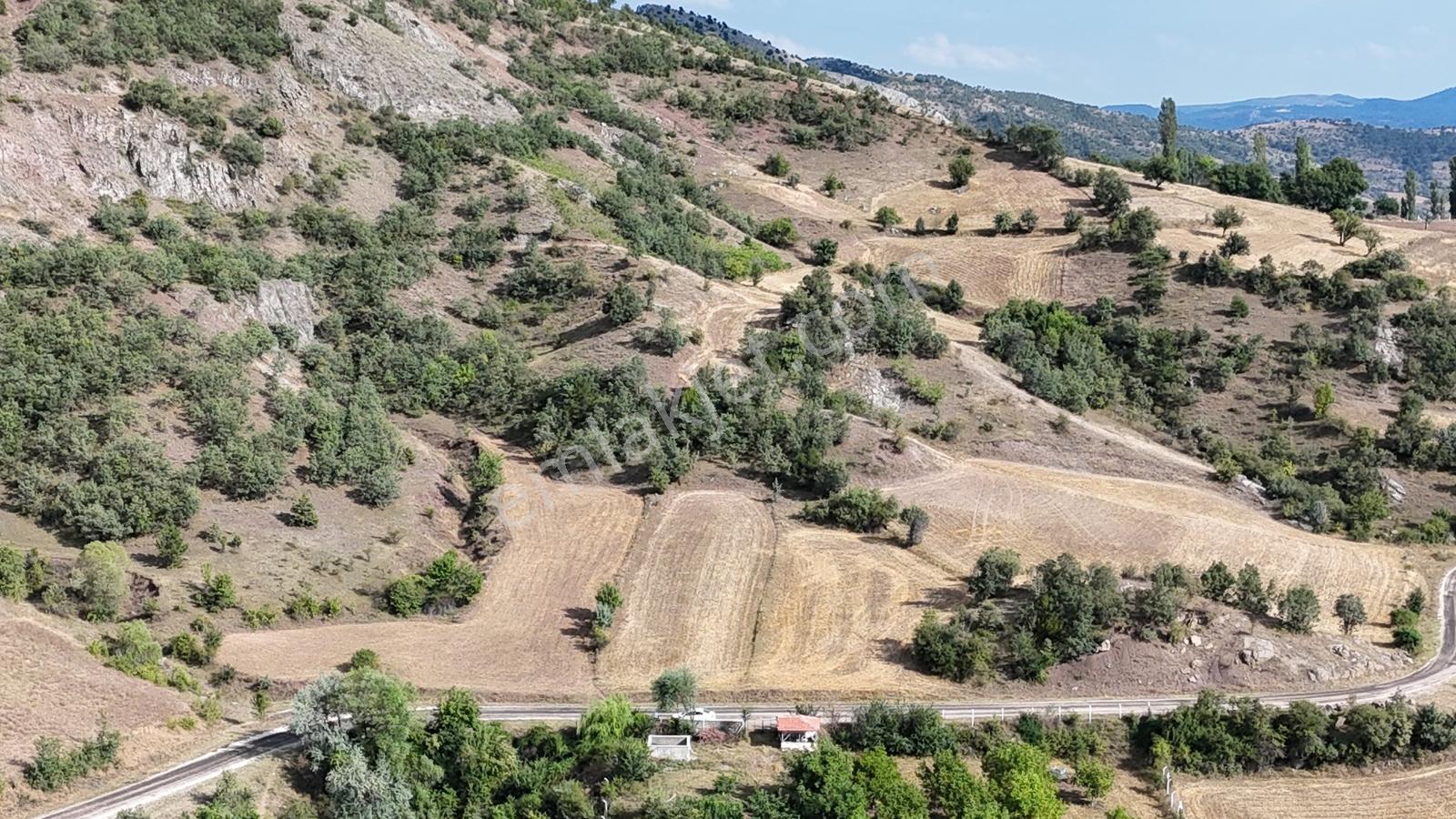 Amasya Hamamözünde Ana Yola Yakın 1574 M2 Tarla Tek Tapu - Görsel 13