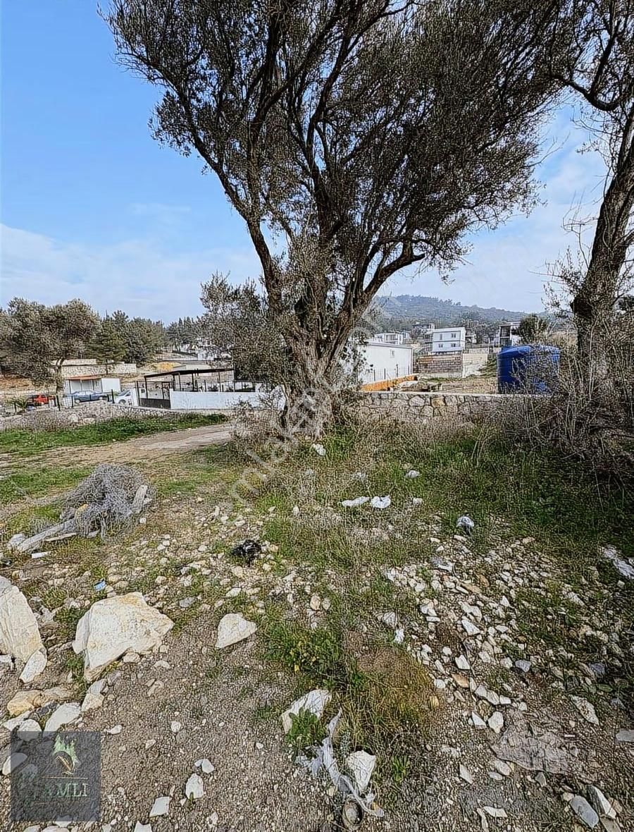 Urla Ovacık Köyünde 600 M2 Yatırım Fırsatı - Görsel 2