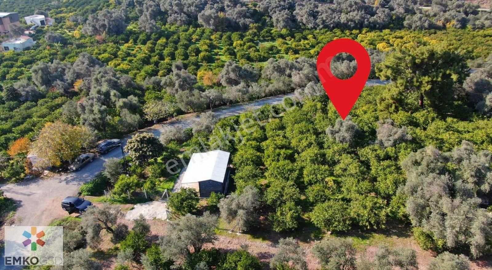 Ürkmezde Tek Tapu Panoromik Manzaralı İçinde Evi Olan Bahçe - Görsel 10