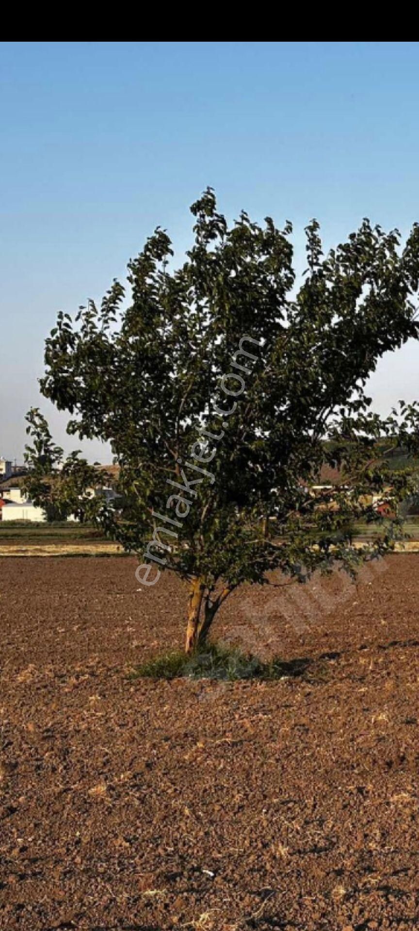 My Ekipden Bursanın Batı Yakası Nilüfer Çaylıda Hem Kullanımlık - Görsel 28