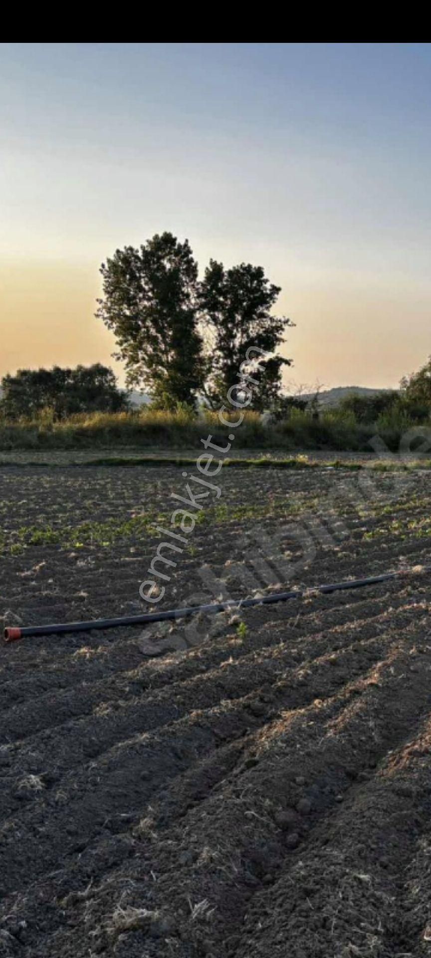 My Ekipden Bursanın Batı Yakası Nilüfer Çaylıda Hem Kullanımlık - Görsel 20