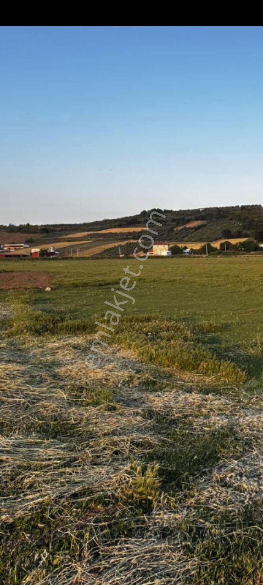 My Ekipden Bursanın Batı Yakası Nilüfer Çaylıda Hem Kullanımlık - Görsel 30