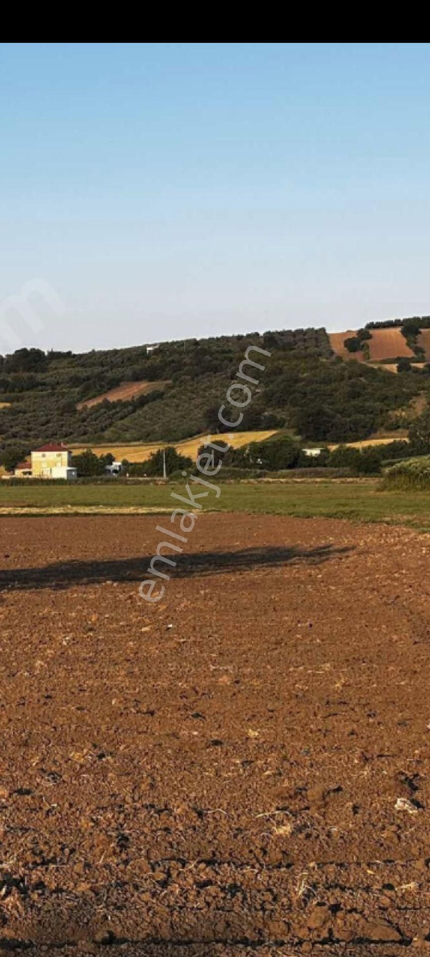 My Ekipden Bursanın Batı Yakası Nilüfer Çaylıda Hem Kullanımlık - Görsel 31