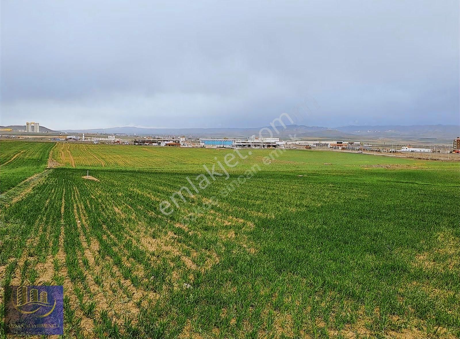 Sincan Temelli Tek Tapu İmarlı 616 Emsalsiz Son Arsa - Görsel 18