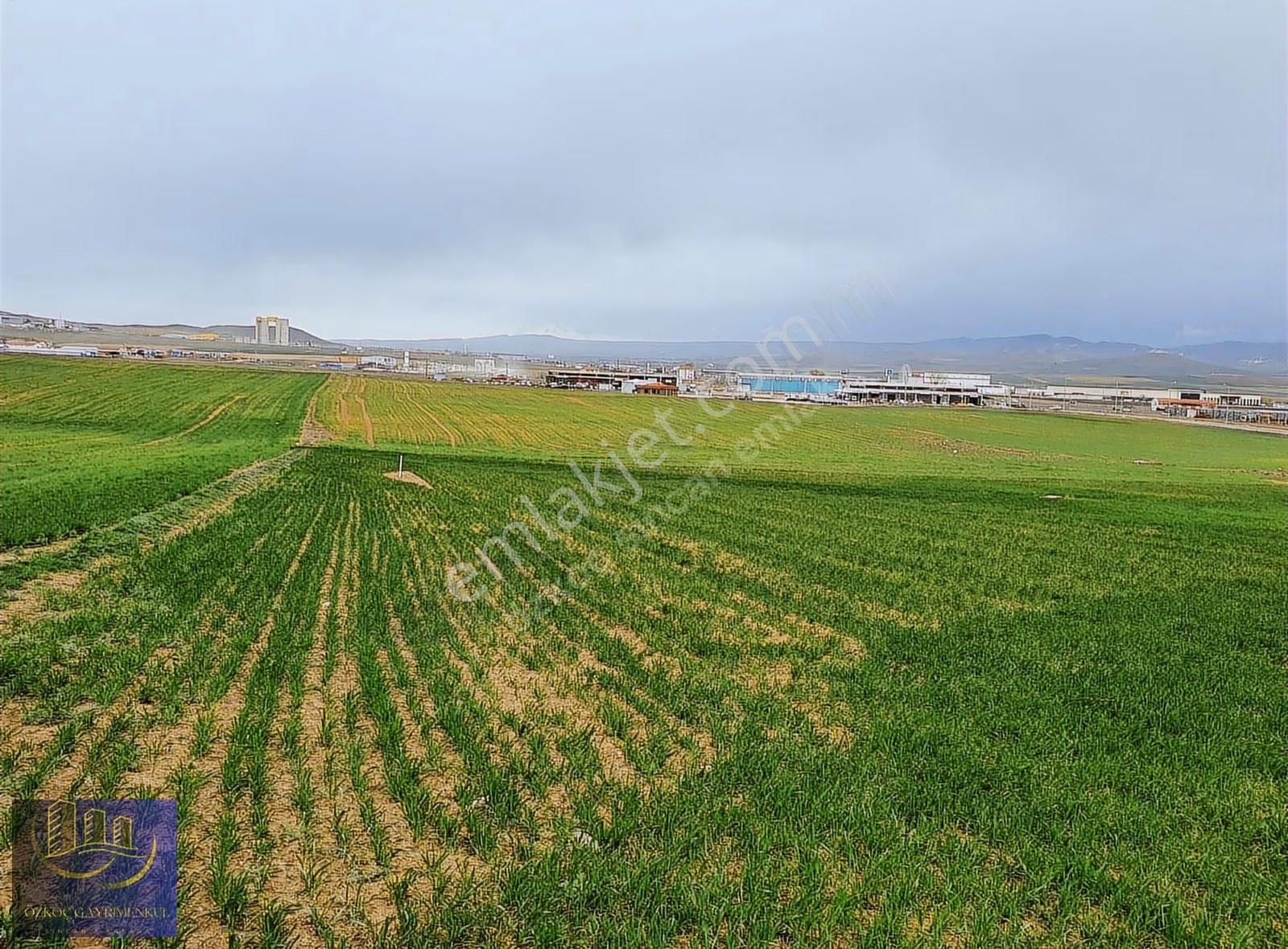 Sincan Temelli Tek Tapu İmarlı 616 Emsalsiz Son Arsa - Görsel 35