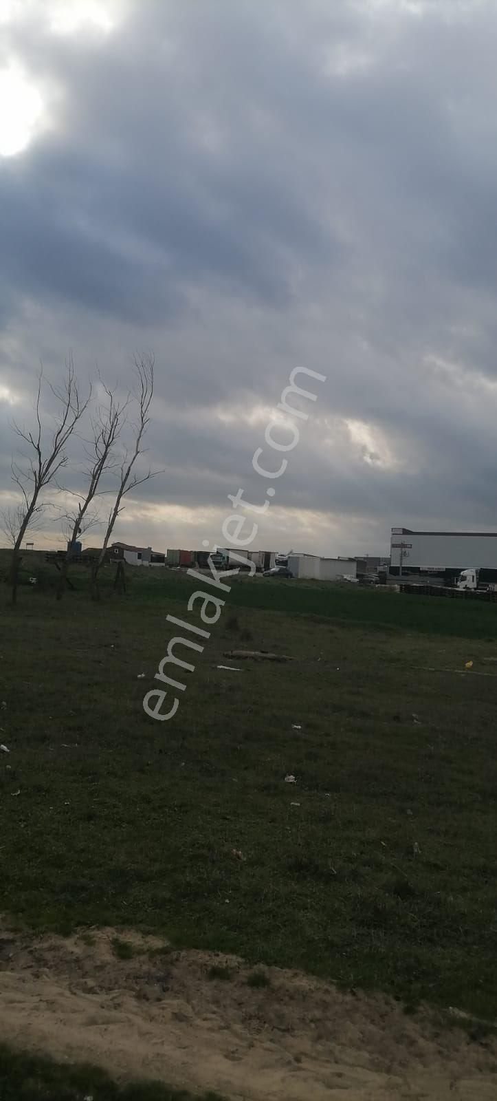 Sahibinden İmarlı İfrazlı Sanayi Ve İş Yeri Arsası - Görsel 2