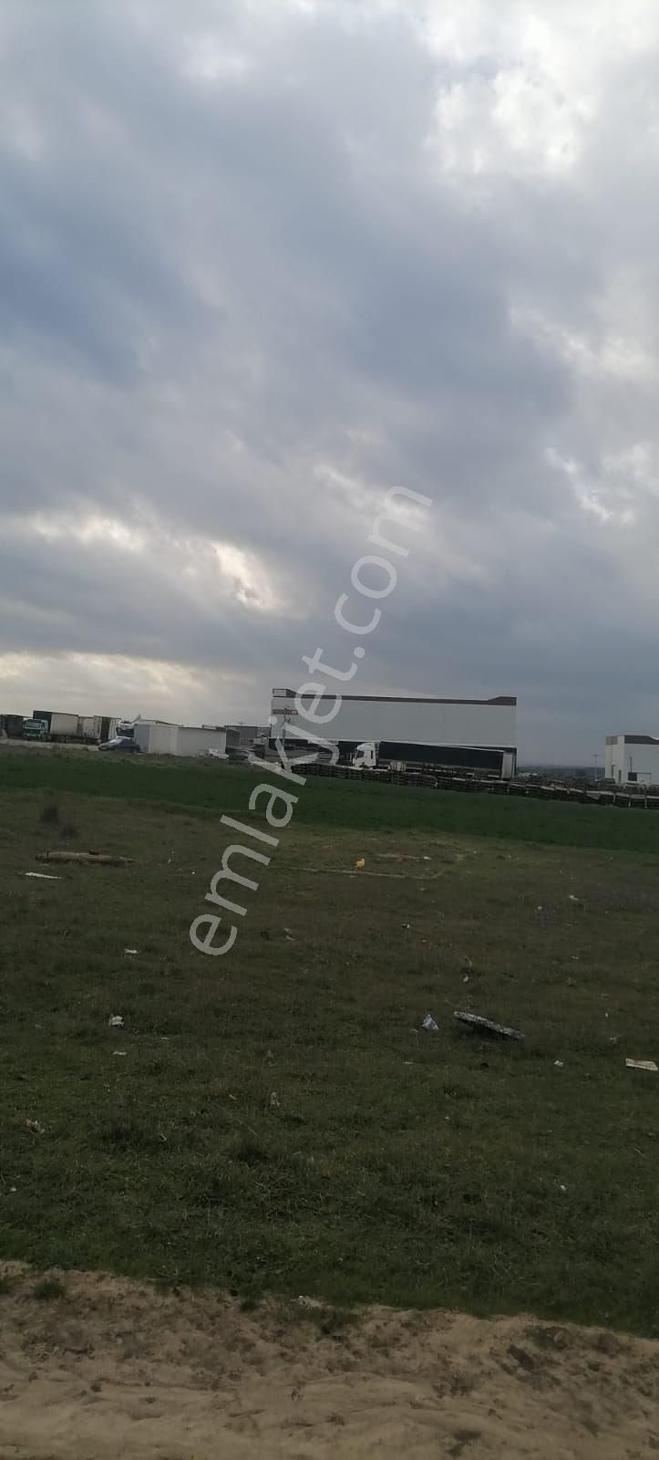 Sahibinden İmarlı İfrazlı Sanayi Ve İş Yeri Arsası - Görsel 3