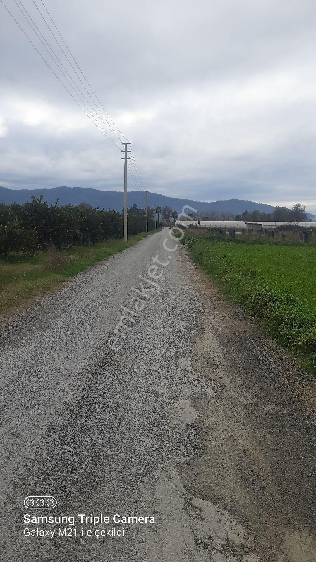 İmara Sıfır 6950 M2 Tarla - Görsel 3