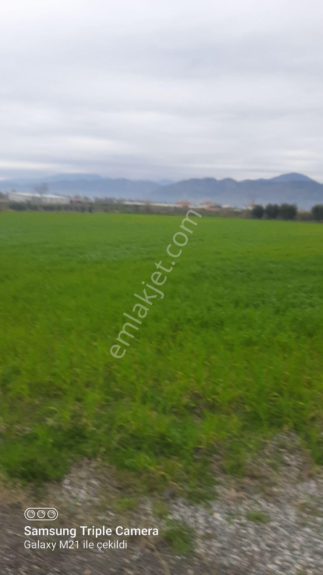 İmara Sıfır 6950 M2 Tarla