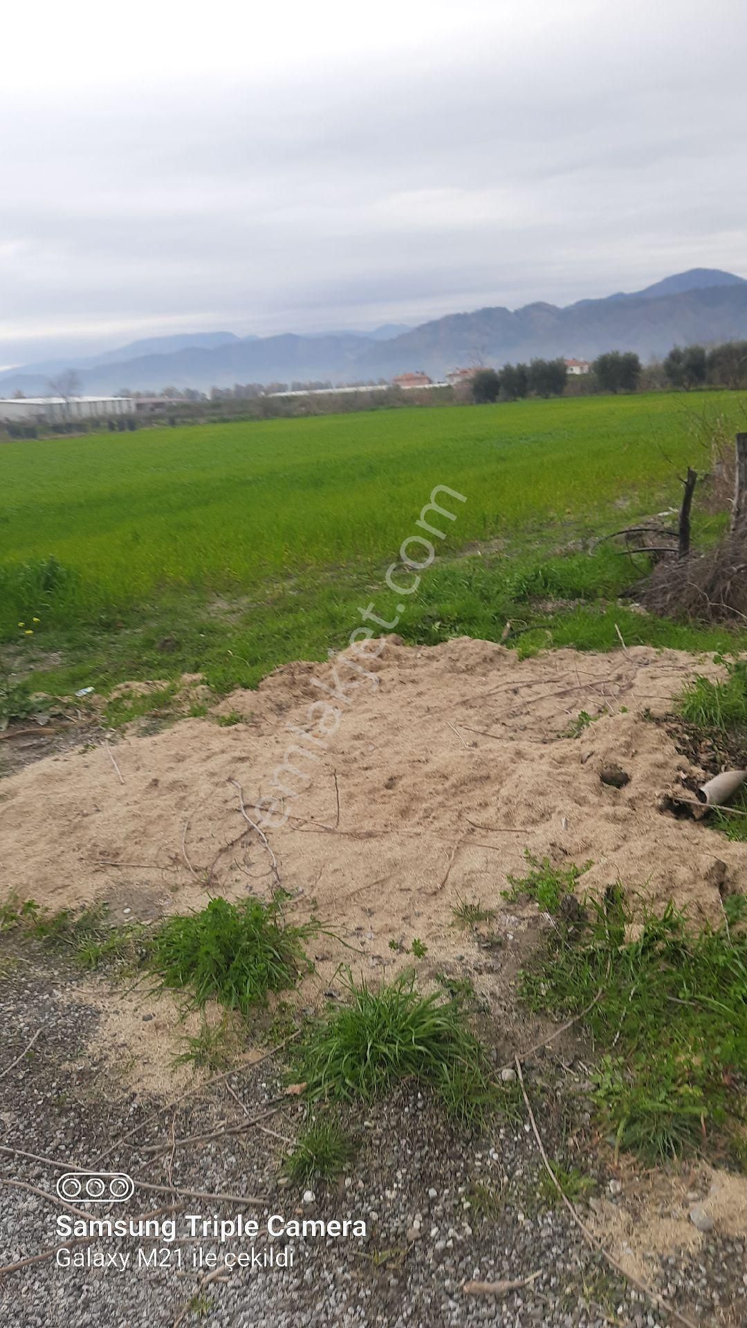 İmara Sıfır 6950 M2 Tarla - Görsel 4