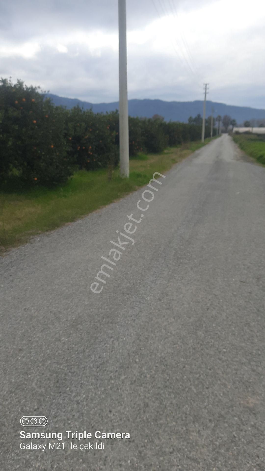 İmara Sıfır 6950 M2 Tarla - Görsel 2