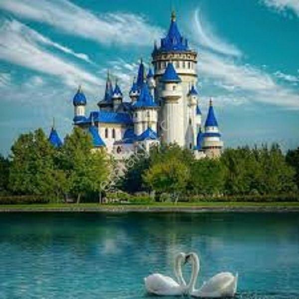 Eczacılık Fakültesi Yakını 1+1 Ayrı Mutfaklı Geniş Daire - Görsel 21