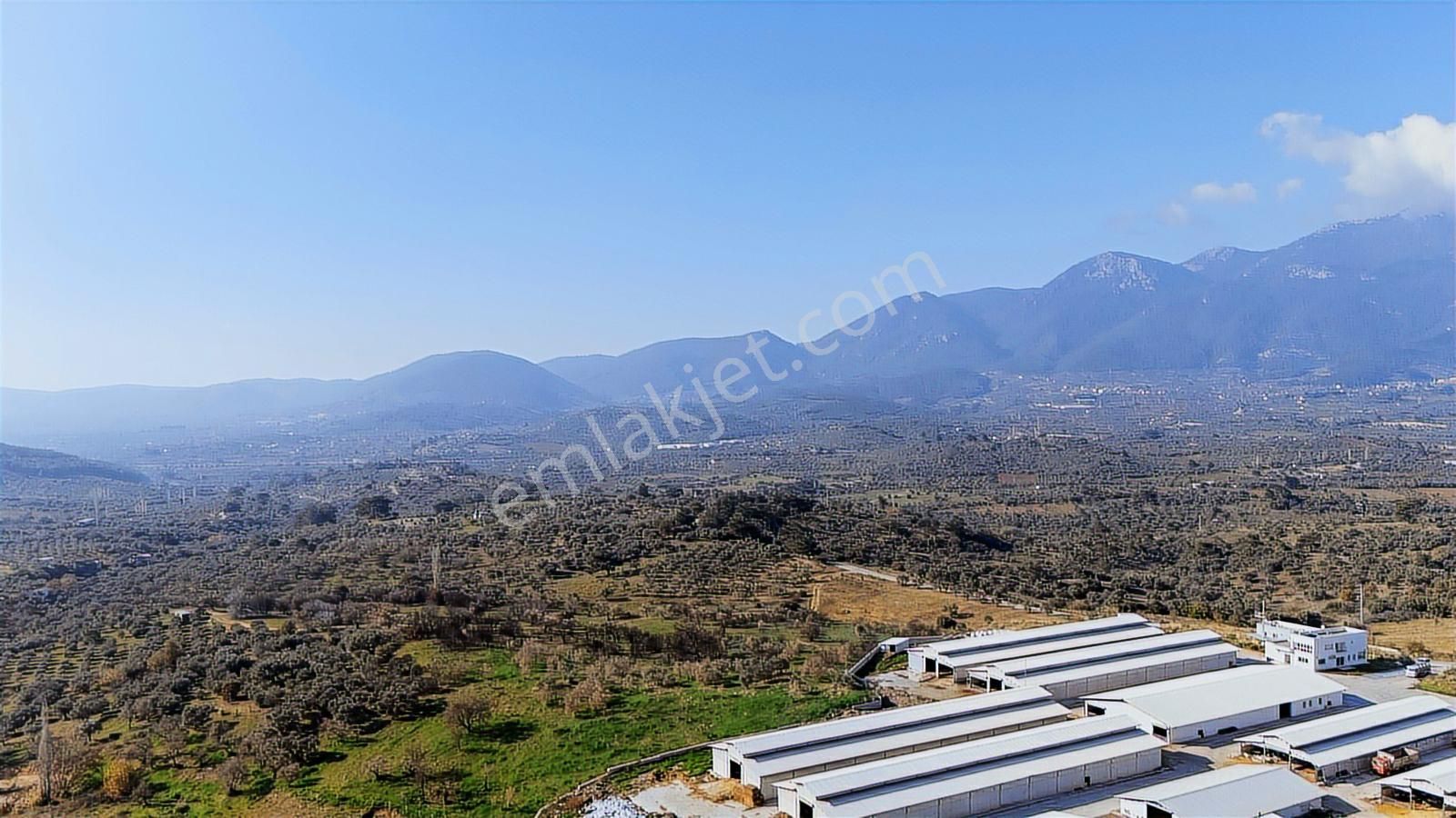 Kemalpaşada Konteyner Evli 440 M² Kooperatif Hisseli Arsa - Görsel 22