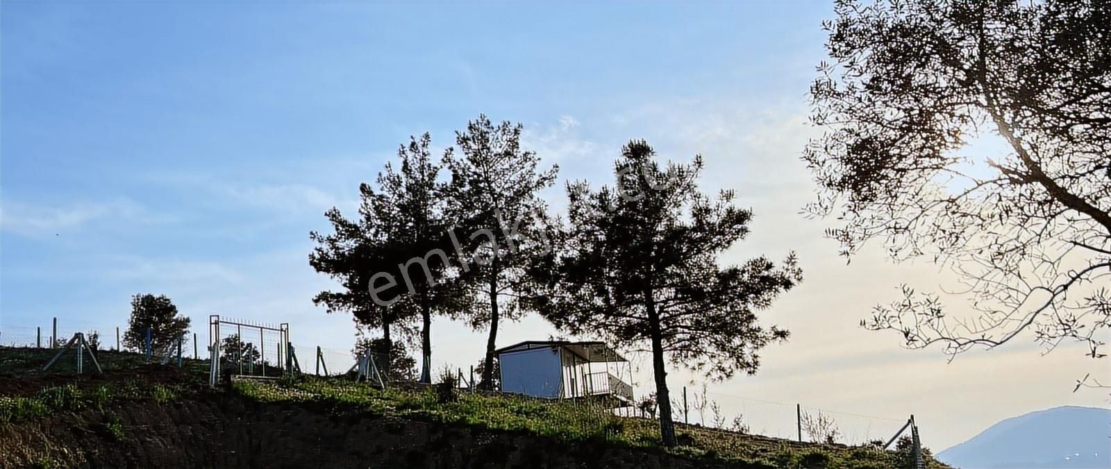 Kemalpaşada Konteyner Evli 440 M² Kooperatif Hisseli Arsa - Görsel 16
