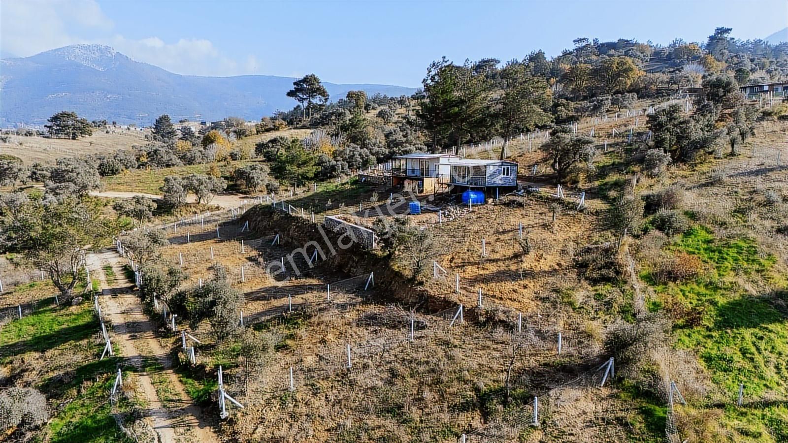 Kemalpaşada Konteyner Evli 440 M² Kooperatif Hisseli Arsa - Görsel 10