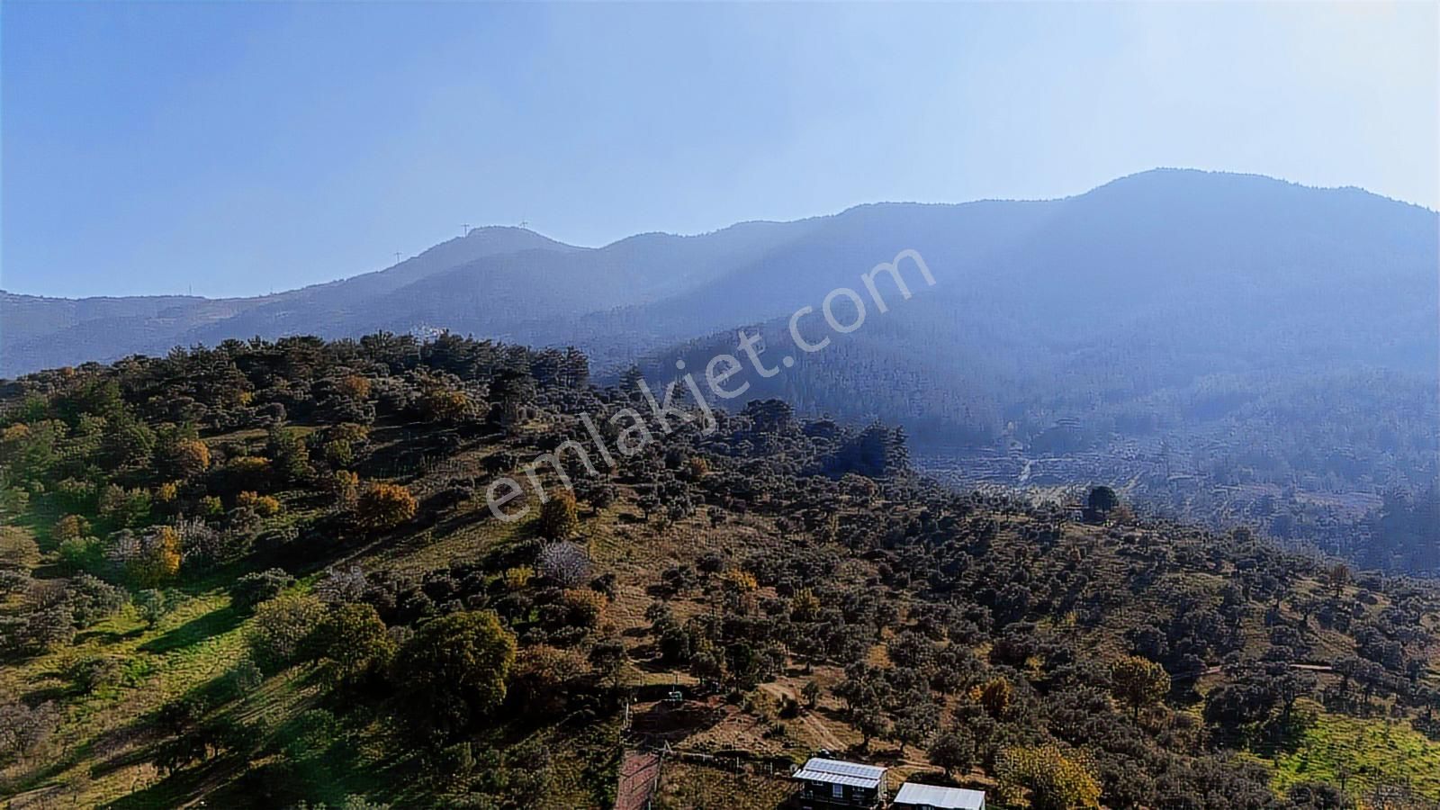 Kemalpaşada Konteyner Evli 440 M² Kooperatif Hisseli Arsa - Görsel 18