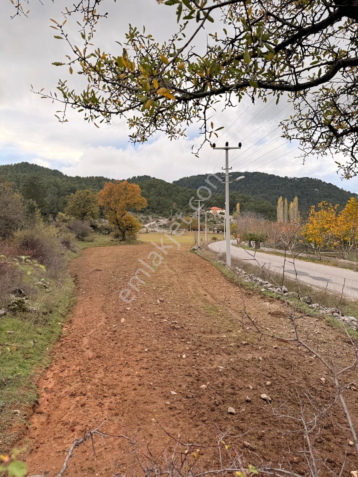 Stoptan Fethiye 30km Yaylakoru 1961 M2 Elektrik Su Yol Var - Görsel 2