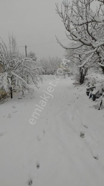 Stoptan Fethiye 30km Yaylakoru 1961 M2 Elektrik Su Yol Var - Görsel 9
