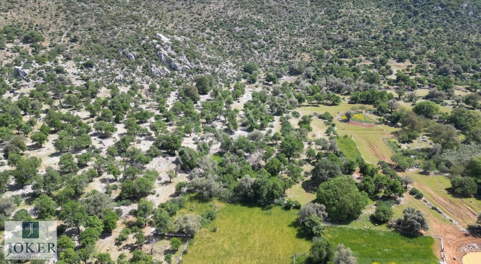Joker: Marmaris Taşlıca Resmi Yol Cephe Yatırıma Uygun Tarla - Görsel 9