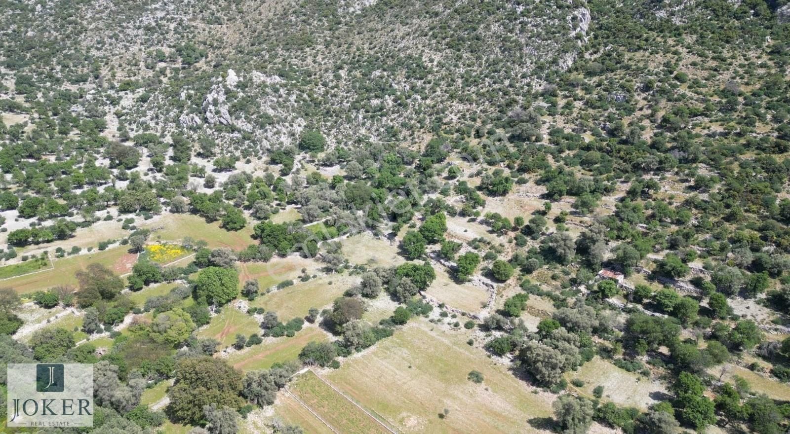 Joker: Marmaris Taşlıca Resmi Yol Cephe Yatırıma Uygun Tarla - Görsel 4