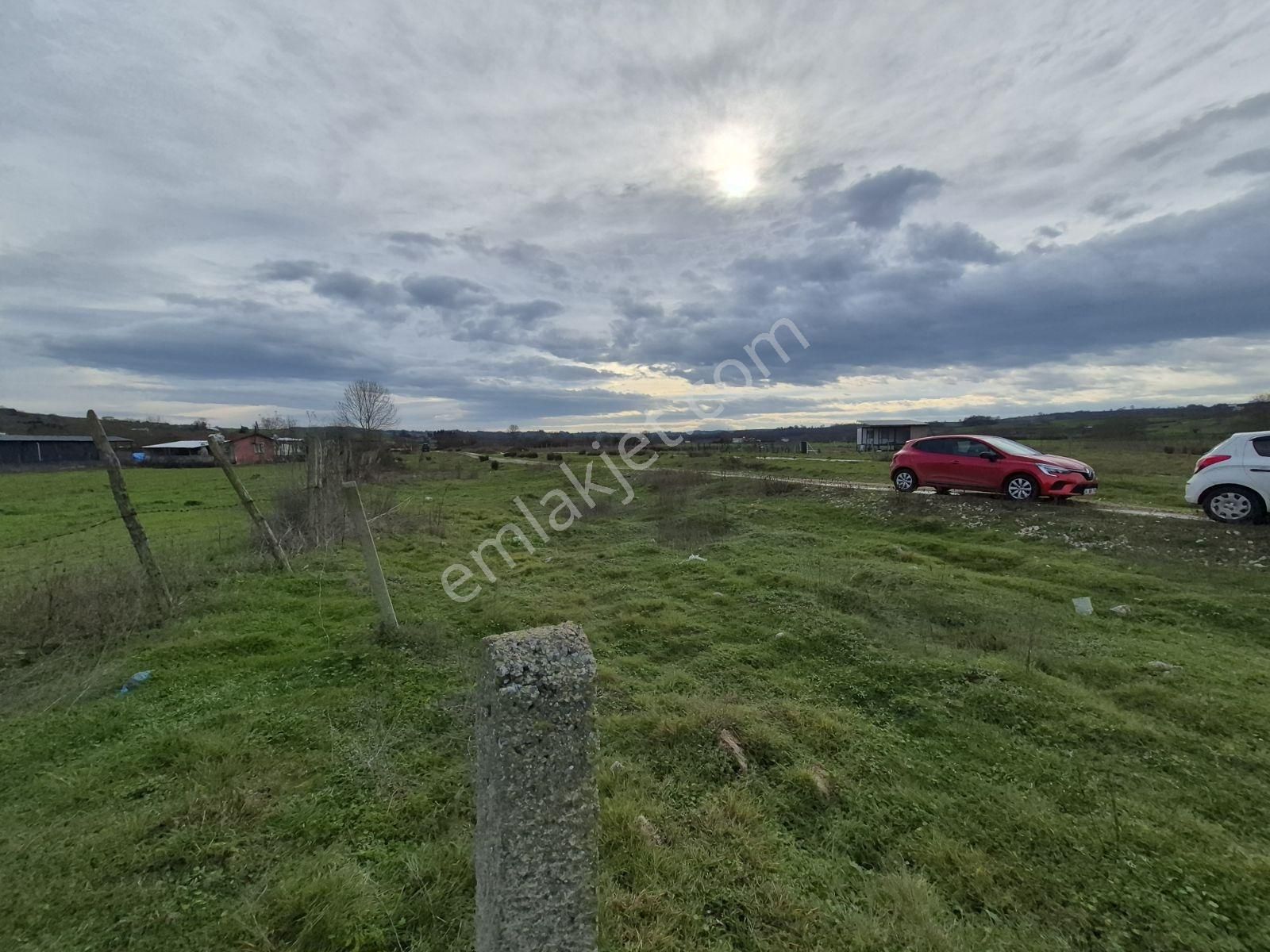 Turizm Bölgesinde Melen Palye Yoluna Cephe Vedat Ergün Den - Görsel 15