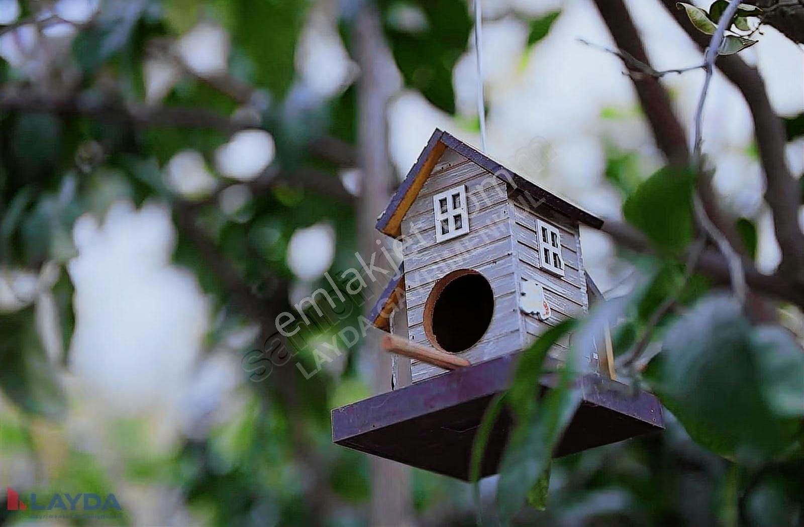 Layda'dan Özdere Denize Sadece 50m Mesafede Satılık Lüx Yazlık