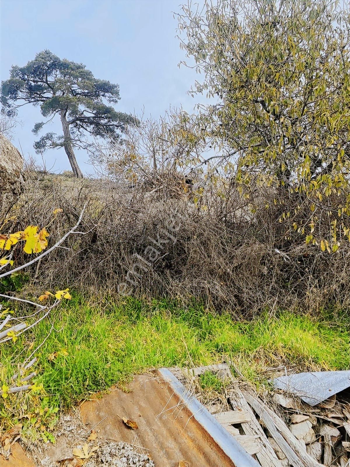 Prestijden 50 Mk Kayıtlı Yapısı Olan Köşe Bir Yer - Görsel 4