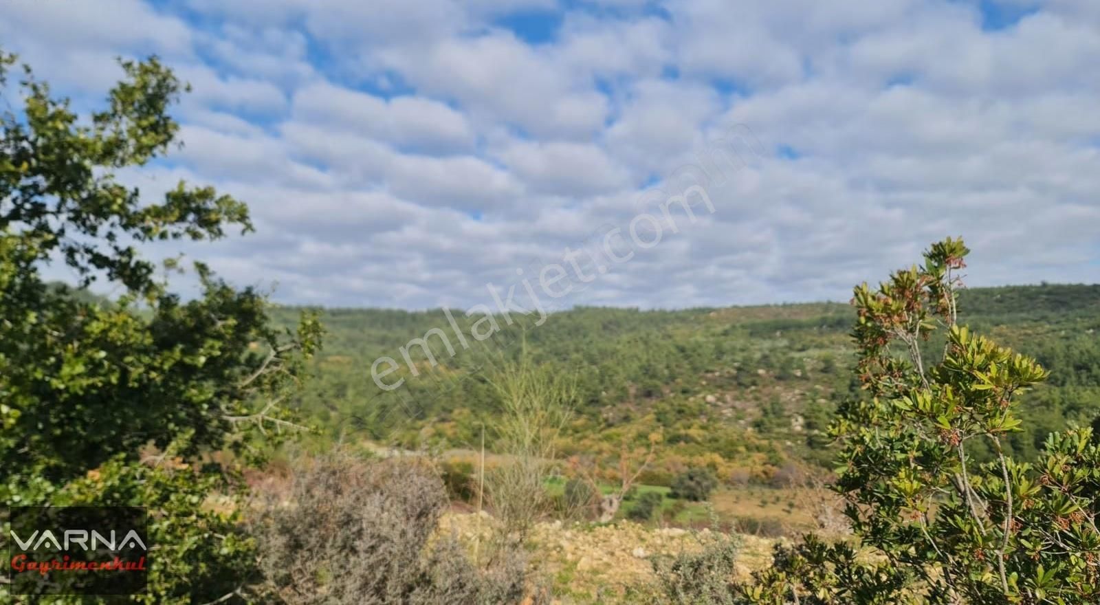 İzmir Menderes Çatalca Da 271m2 Harika Bir Bahçe - Görsel 15